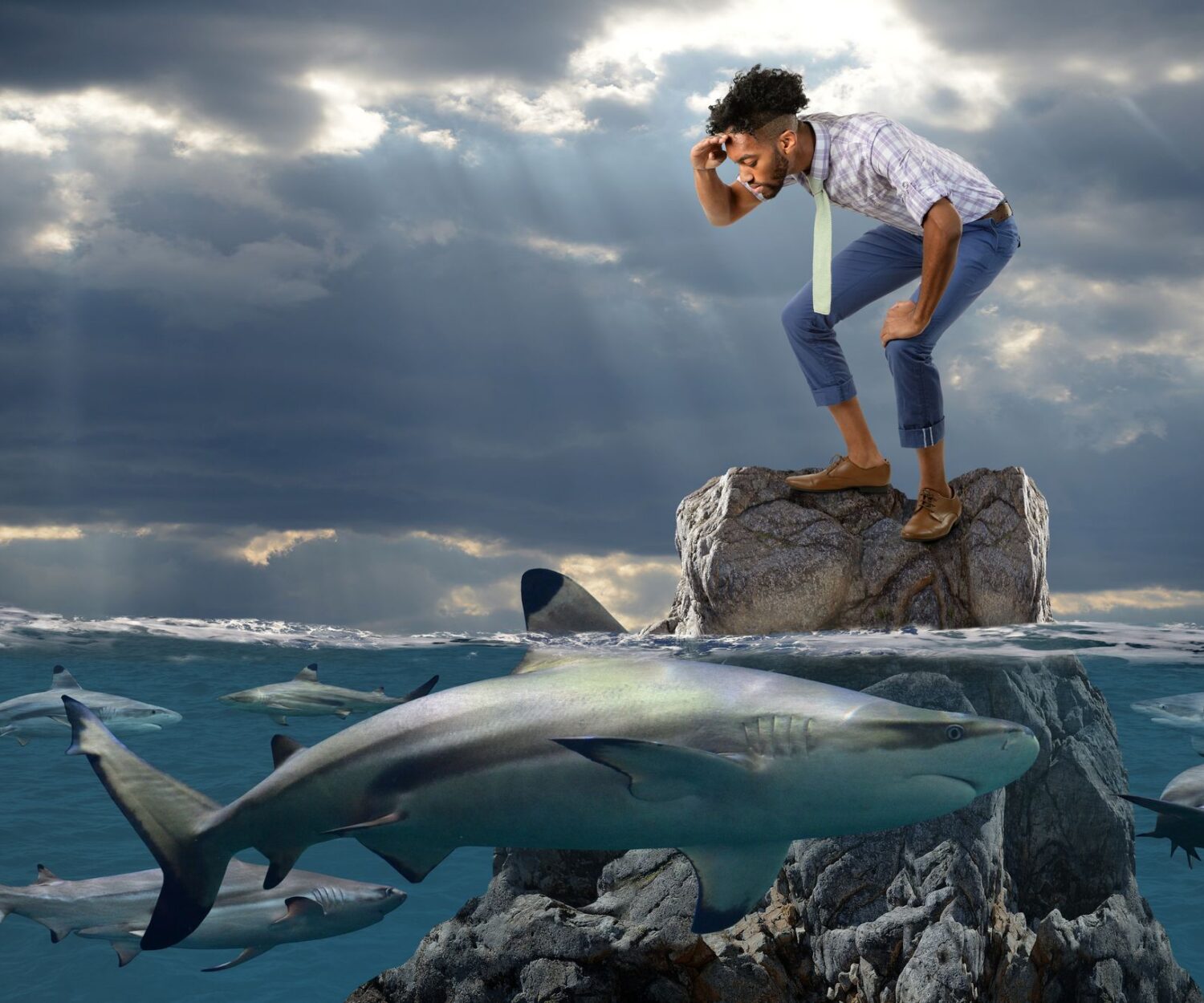 wedevelopment federal credit union